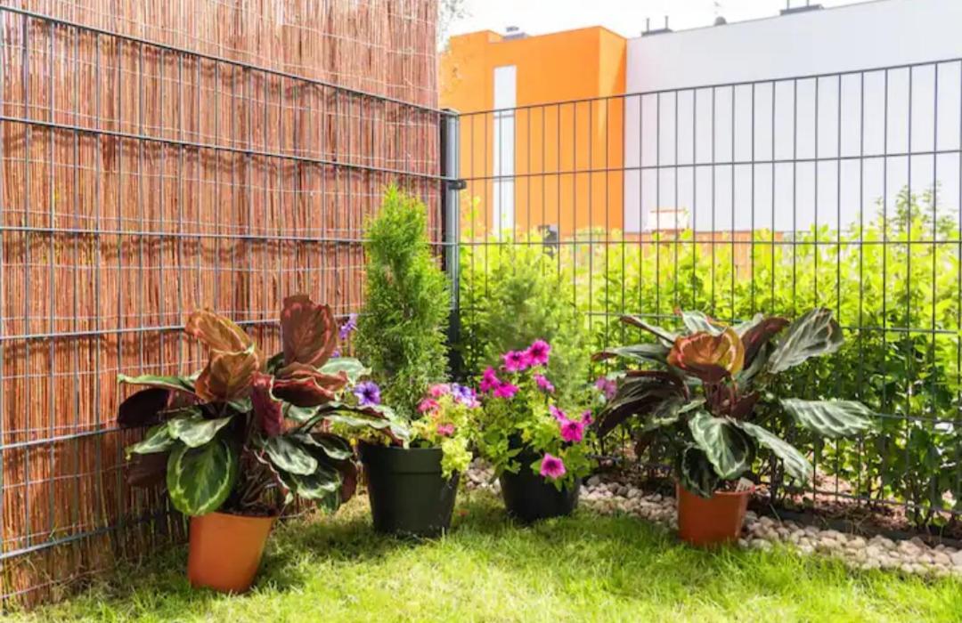 Luxapartmentwarszawa Z Bezplatnym Podziemnym Parkingem Appartement *